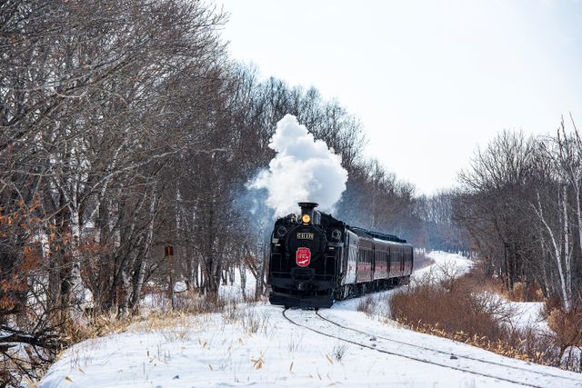 Artic Express Canada
