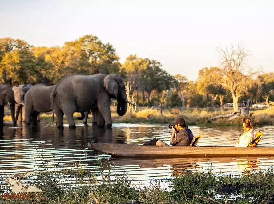 EXPERIENCE- Botswana