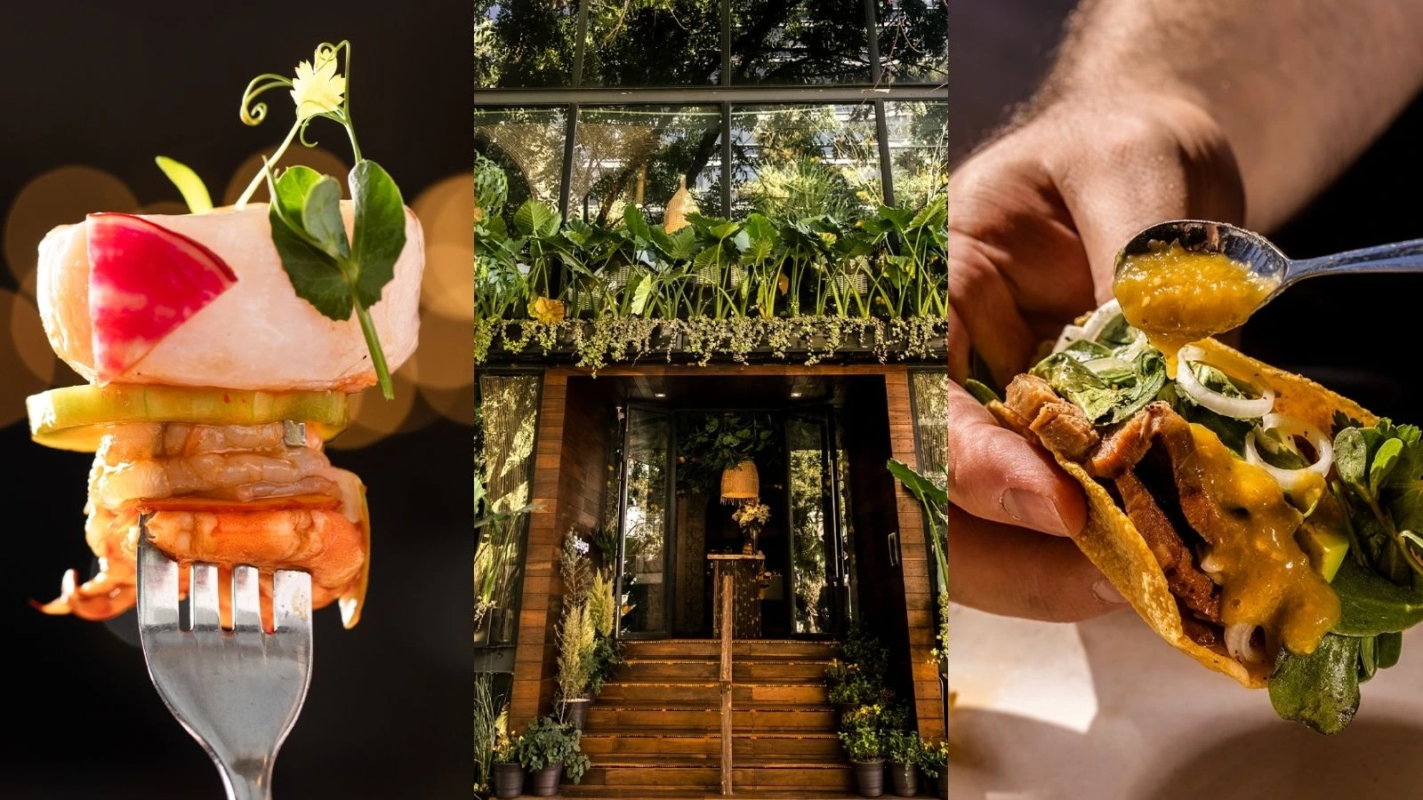 Lugares Top Para Conocer en CDMX - Beluga