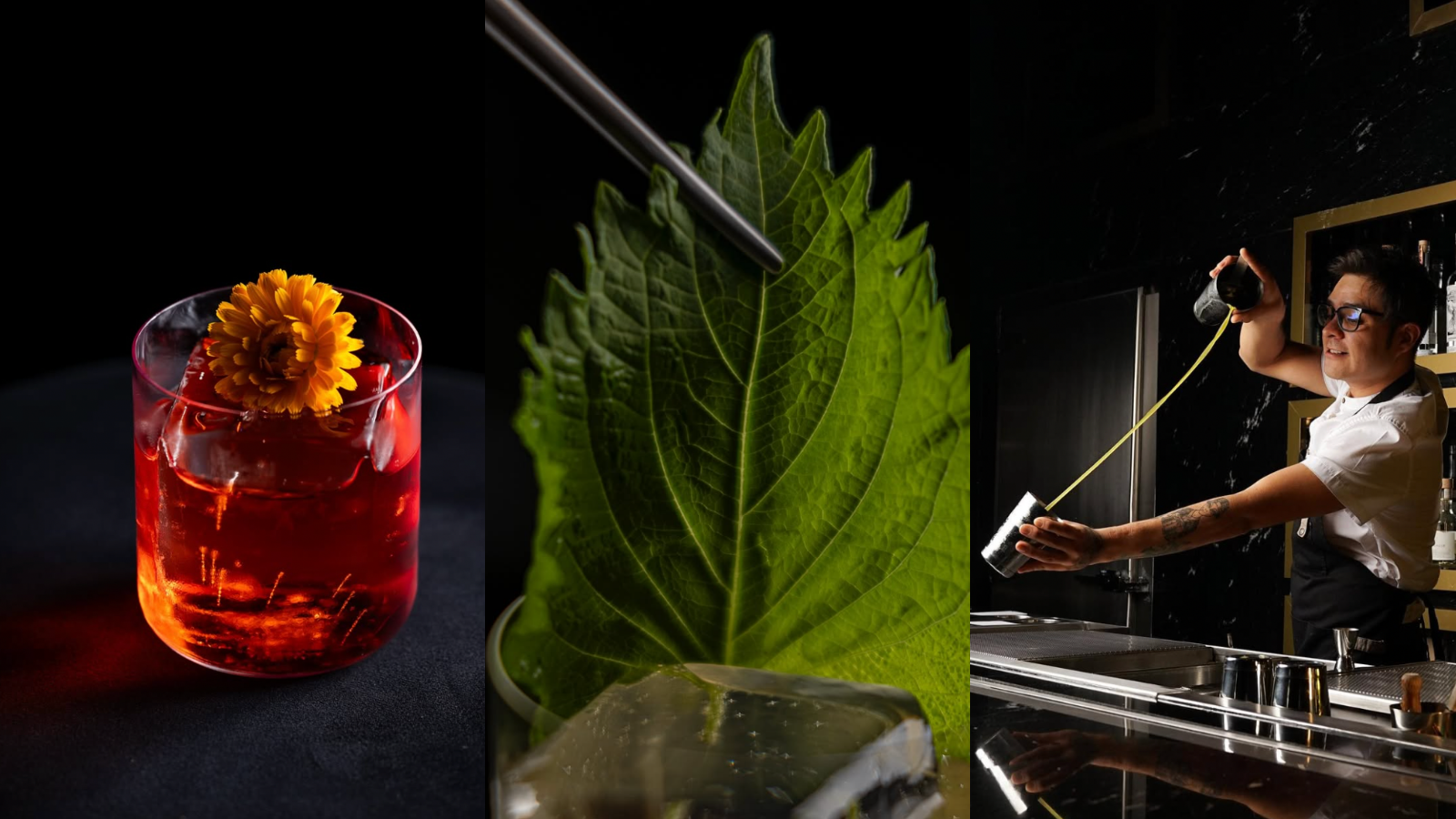 Lugares Top Para Conocer en CDMX - Handshake Bar