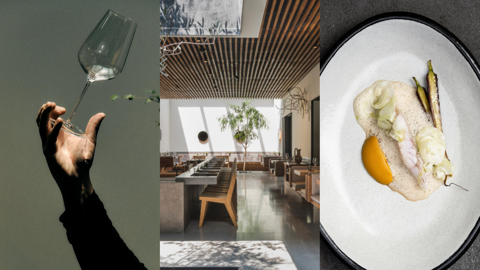 Lugares Top Para Conocer en CDMX - Pujol