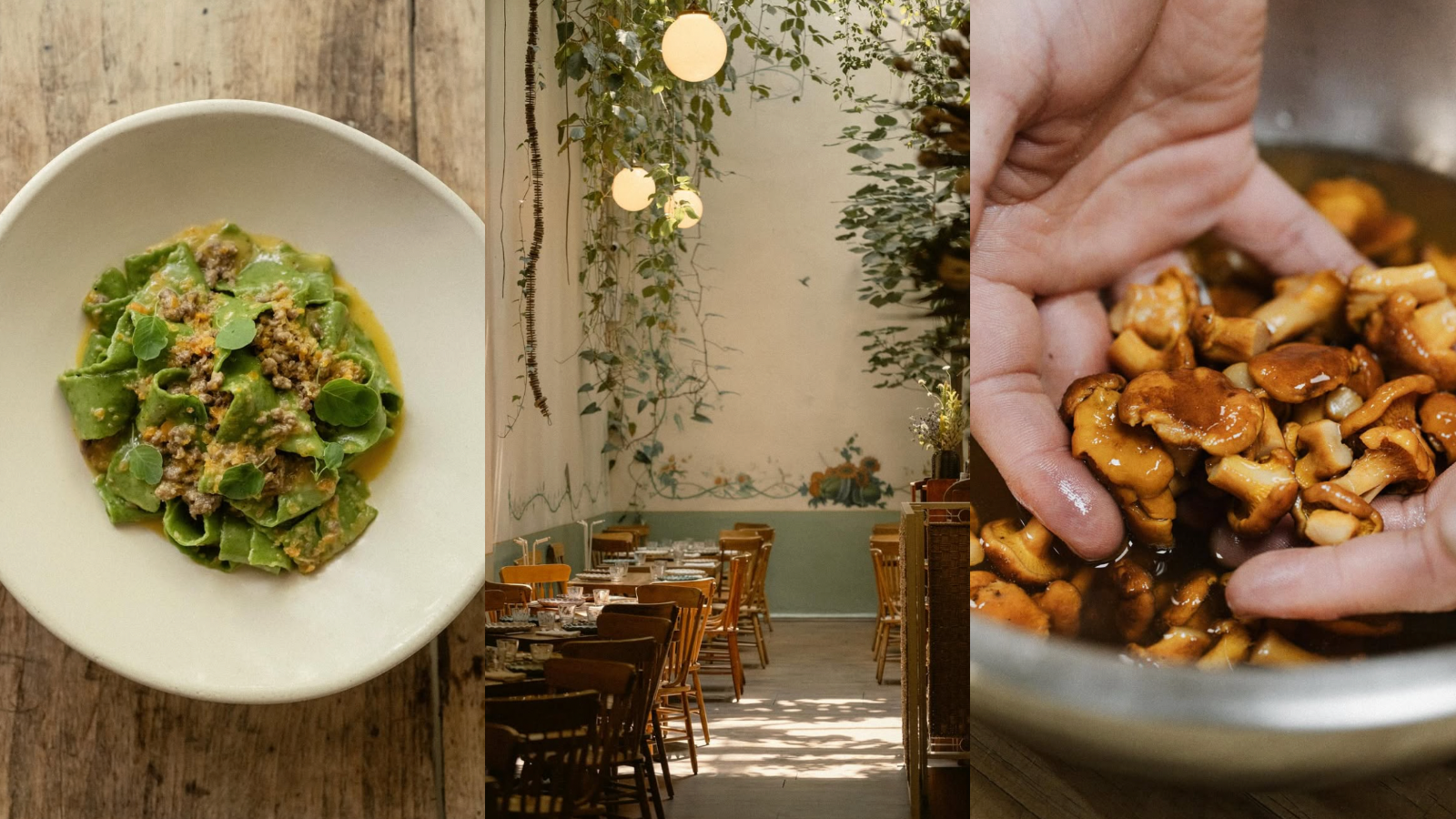 Lugares Top Para Conocer en CDMX - Rosetta