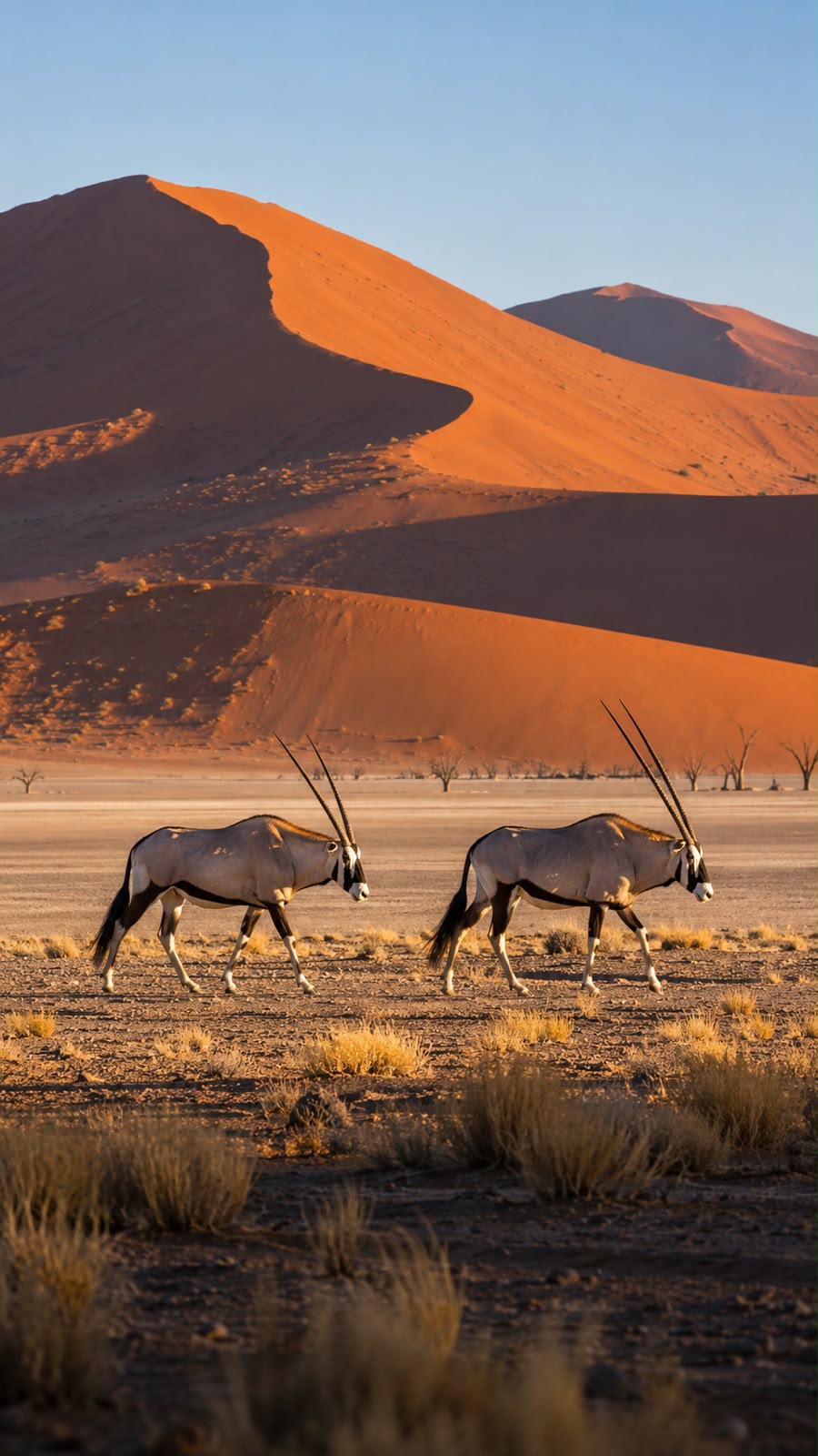 Namibia
